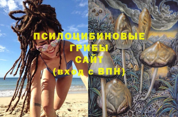 стафф Яровое