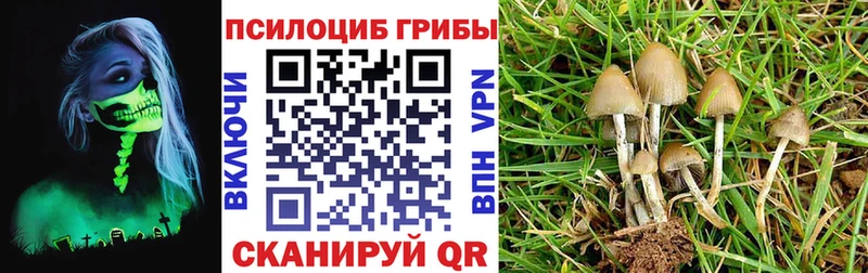 MEGA вход  Псков  Псилоцибиновые грибы прущие грибы 