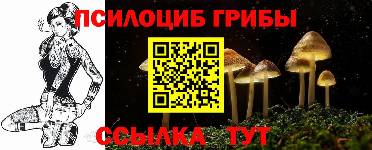Псков  Псилоцибиновые грибы Cubensis  Вход с VPN 